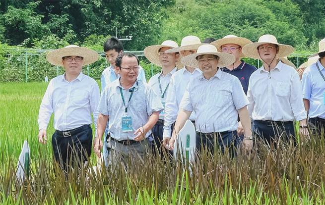 水稻矮化育种60周年纪念暨广东水稻产业科技大会在广州开幕 