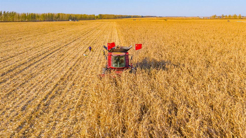安徽预计2022年收购小麦1100万吨