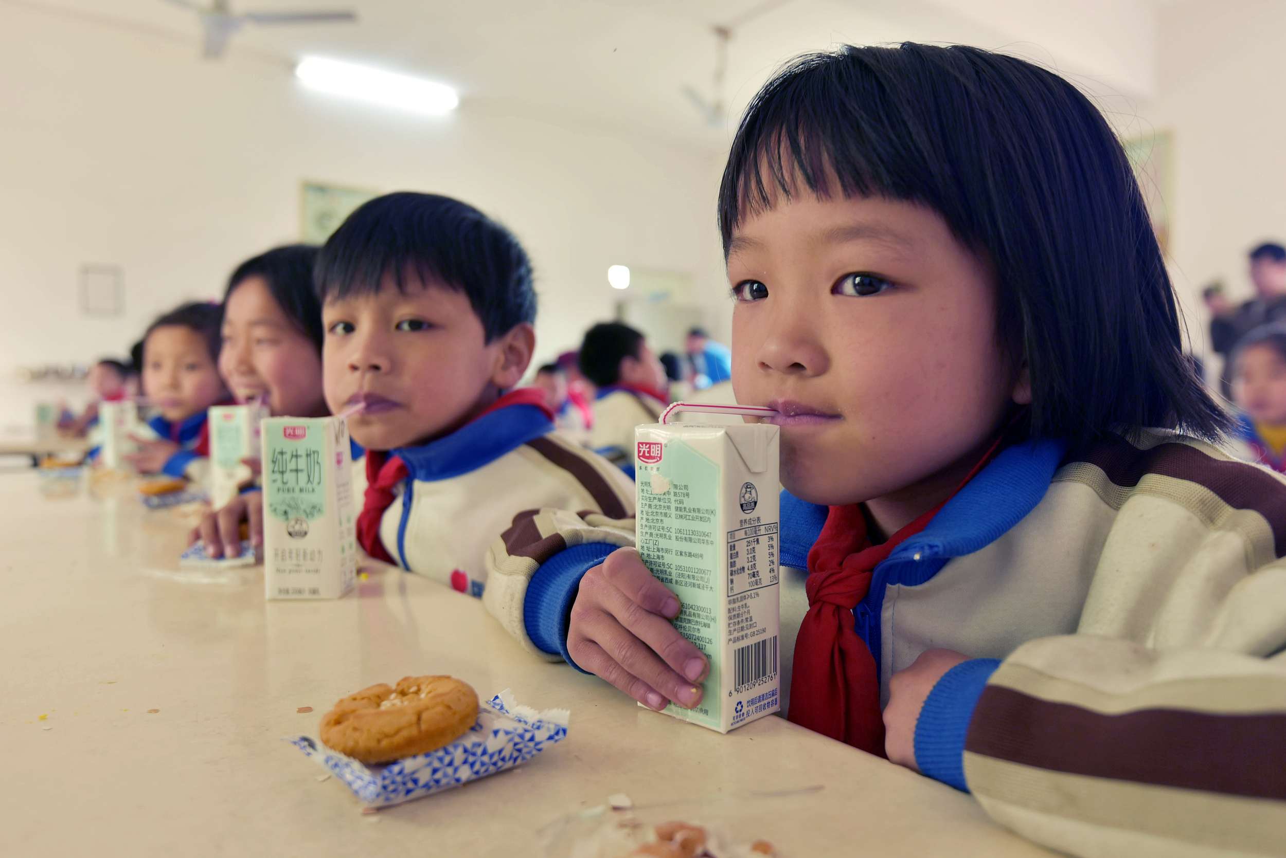 江西成立食育学会专家指导委员会助推食育事业发展