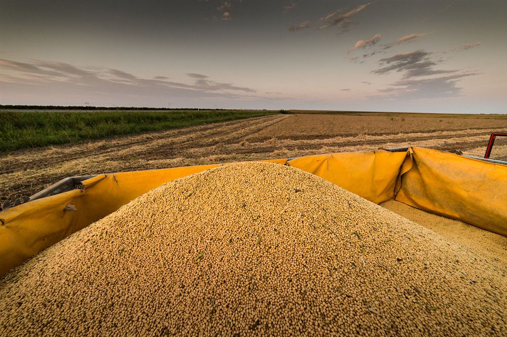 恩施土家族苗族自治州开展大豆玉米带状种植培训