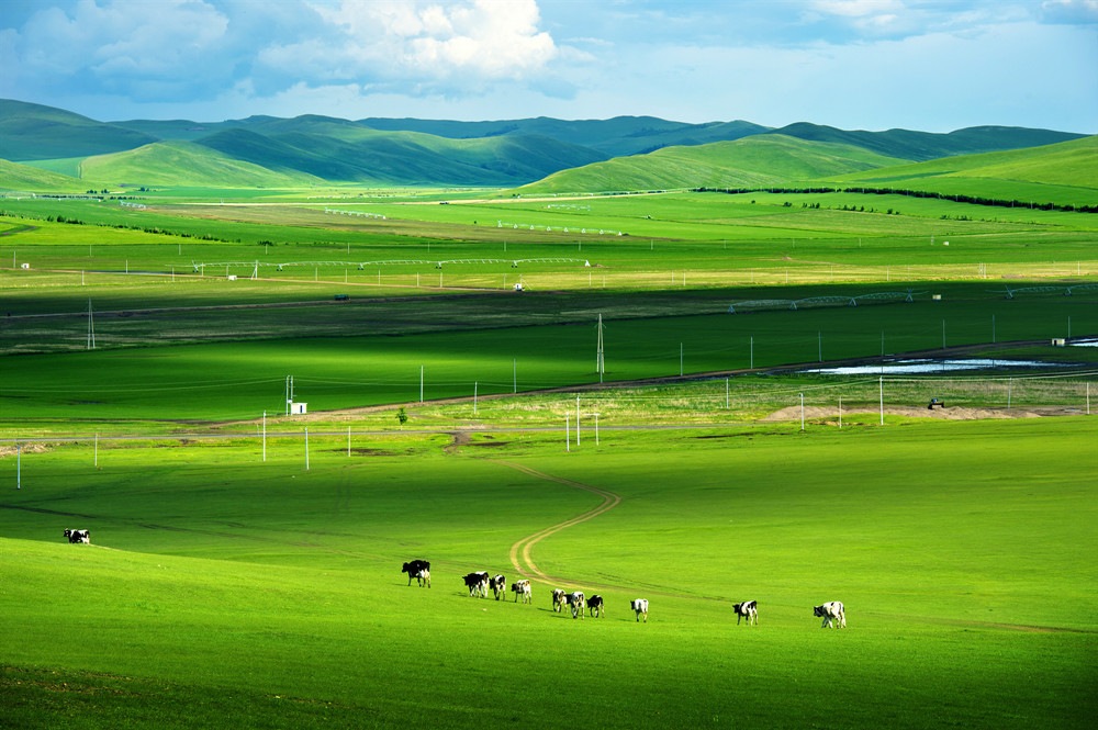 内蒙古带51家农畜产品“蒙字号”赴阿联酋、沙特觅商机