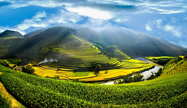 广西博白：水稻制种忙 春耕春种陆续展开